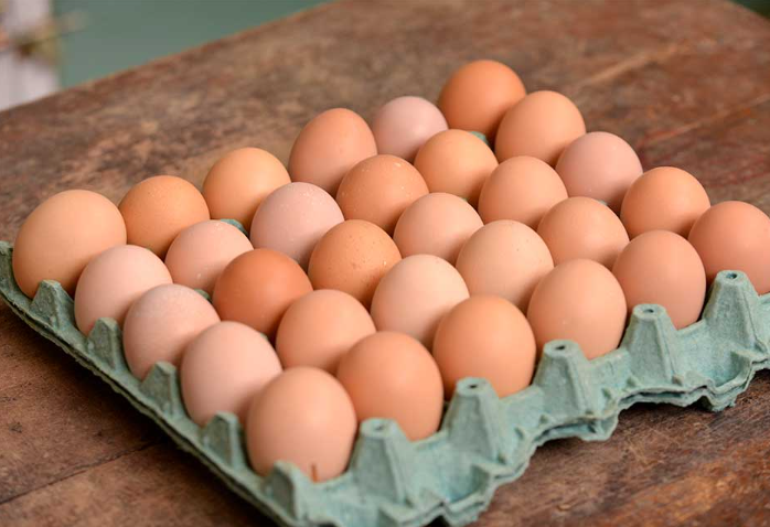 Celda Huevos de Corral x30 u.